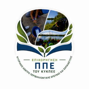 ΠΛΗΡΩΜΗ ΕΠΙΧΟΡΗΓΗΣΗΣ ΠΠΕ