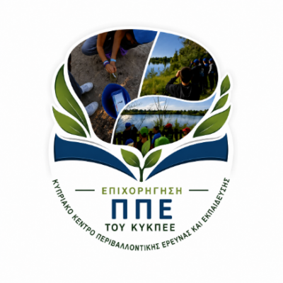 ΠΛΗΡΩΜΗ ΕΠΙΧΟΡΗΓΗΣΗΣ ΠΠΕ